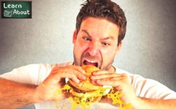 Implementing Marketing Strategies to Develop a Hungry Online Audience