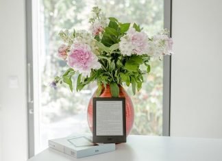 Market your eBook Like a Pro for Ultimate Online Success