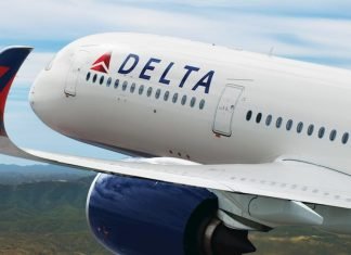 delta airline